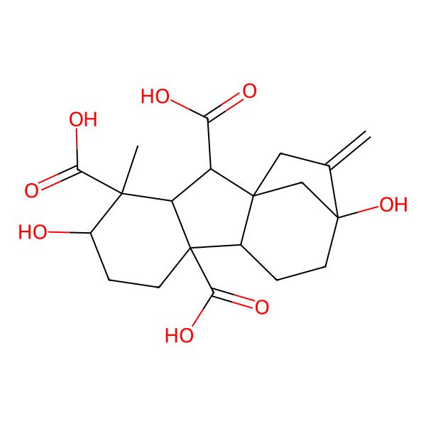 2D Structure of 5,12-Dihydroxy-4-methyl-13-methylidenetetracyclo[10.2.1.01,9.03,8]pentadecane-2,4,8-tricarboxylic acid