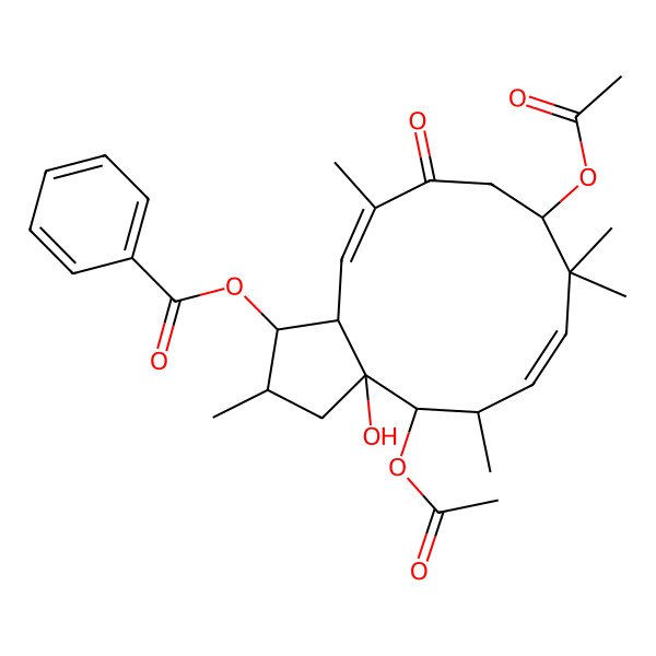 2D Structure of [(1S,2S,3aR,4S,5S,6Z,9R,12Z,13aS)-4,9-diacetyloxy-3a-hydroxy-2,5,8,8,12-pentamethyl-11-oxo-1,2,3,4,5,9,10,13a-octahydrocyclopenta[12]annulen-1-yl] benzoate