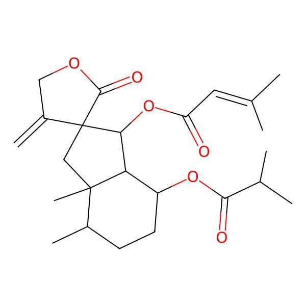 2D Structure of [(1R,2R,3aR,4S,7S,7aR)-3a,4-dimethyl-4'-methylidene-7-(2-methylpropanoyloxy)-2'-oxospiro[3,4,5,6,7,7a-hexahydro-1H-indene-2,3'-oxolane]-1-yl] 3-methylbut-2-enoate