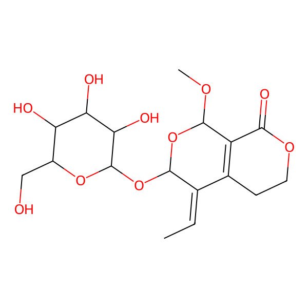 2D Structure of (1R,3R,4Z)-4-ethylidene-1-methoxy-3-[(2S,3R,4S,5S,6R)-3,4,5-trihydroxy-6-(hydroxymethyl)oxan-2-yl]oxy-5,6-dihydro-1H-pyrano[3,4-c]pyran-8-one