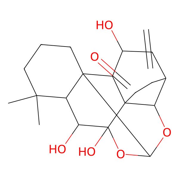 2D Structure of (1R,2S,3S,5S,8R,9S,11S,13S,14S,15R)-3,13,14-trihydroxy-16,16-dimethyl-6-methylidene-10,12-dioxahexacyclo[9.8.0.01,15.02,8.05,9.08,13]nonadecan-7-one