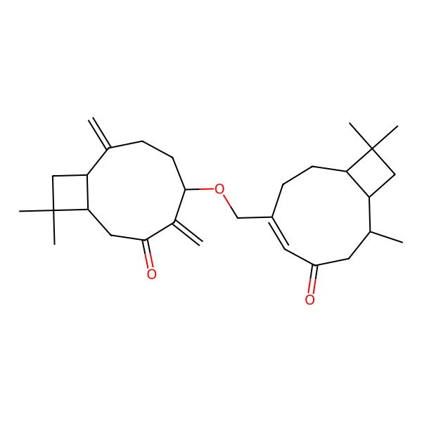 2D Structure of (1R,5R,9S)-11,11-dimethyl-4,8-dimethylidene-5-[[(1R,4Z,8S,9R)-8,11,11-trimethyl-6-oxo-4-bicyclo[7.2.0]undec-4-enyl]methoxy]bicyclo[7.2.0]undecan-3-one