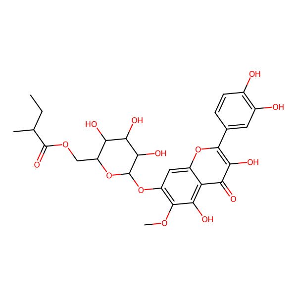 2D Structure of [(2R,3S,4S,5S,6S)-6-[2-(3,4-dihydroxyphenyl)-3,5-dihydroxy-6-methoxy-4-oxochromen-7-yl]oxy-3,4,5-trihydroxyoxan-2-yl]methyl (2R)-2-methylbutanoate
