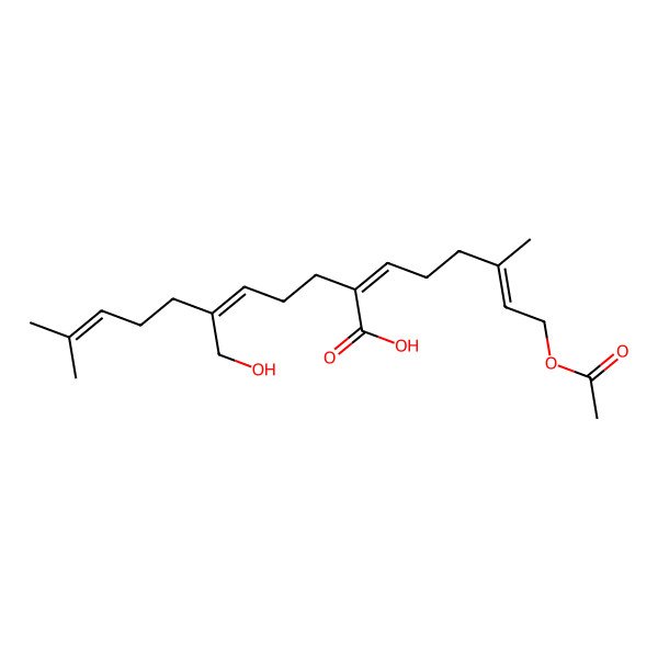 2D Structure of (2E,5Z)-2-[(E)-6-acetyloxy-4-methylhex-4-enylidene]-6-(hydroxymethyl)-10-methylundeca-5,9-dienoic acid