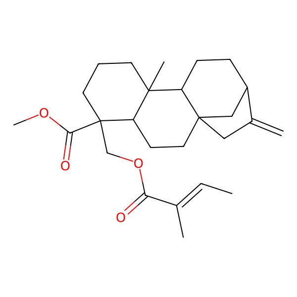 2D Structure of Methyl 9-methyl-5-(2-methylbut-2-enoyloxymethyl)-14-methylidenetetracyclo[11.2.1.01,10.04,9]hexadecane-5-carboxylate