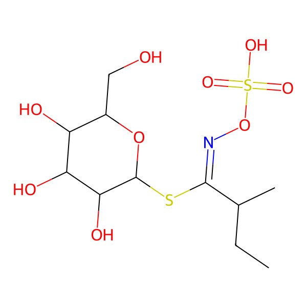 2D Structure of [(2R,3R,4R,5R,6R)-3,4,5-trihydroxy-6-(hydroxymethyl)oxan-2-yl] (1Z,2R)-2-methyl-N-sulfooxybutanimidothioate