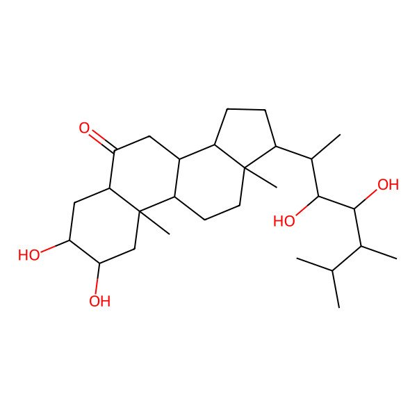 2D Structure of (2R,3S,5S,8S,9S,10R,13S,14S,17S)-17-[(2S,3R,4R,5S)-3,4-dihydroxy-5,6-dimethylheptan-2-yl]-2,3-dihydroxy-10,13-dimethyl-1,2,3,4,5,7,8,9,11,12,14,15,16,17-tetradecahydrocyclopenta[a]phenanthren-6-one