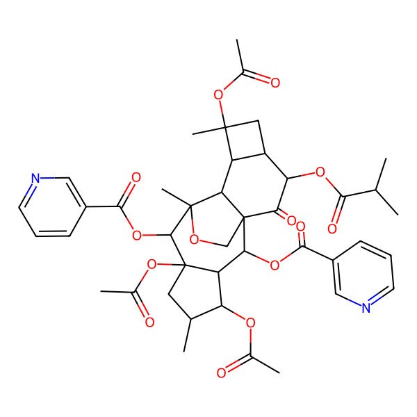 2D Structure of [4,7,12-Triacetyloxy-5,9,12-trimethyl-15-(2-methylpropanoyloxy)-16-oxo-8-(pyridine-3-carbonyloxy)-18-oxapentacyclo[7.7.2.01,10.03,7.011,14]octadecan-2-yl] pyridine-3-carboxylate