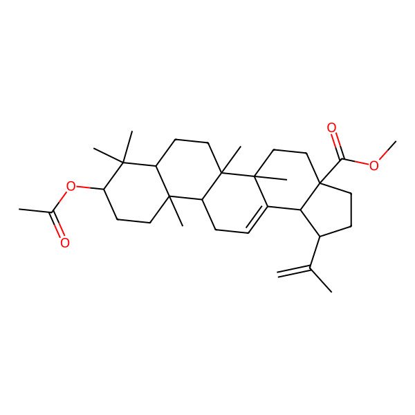 2D Structure of methyl (1R,3aS,5aS,5bR,7aR,9S,11aR,11bR,13bS)-9-acetyloxy-5a,5b,8,8,11a-pentamethyl-1-prop-1-en-2-yl-1,2,3,4,5,6,7,7a,9,10,11,11b,12,13b-tetradecahydrocyclopenta[a]chrysene-3a-carboxylate