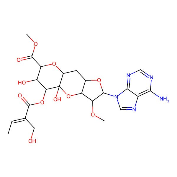 2D Structure of methyl (1S,3R,4S,5R,7R,9R,11S,12S,13S)-5-(6-aminopurin-9-yl)-1,12-dihydroxy-13-[(E)-2-(hydroxymethyl)but-2-enoyl]oxy-4-methoxy-2,6,10-trioxatricyclo[7.4.0.03,7]tridecane-11-carboxylate
