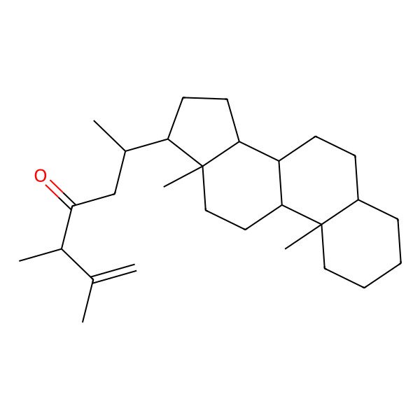 2D Structure of Campestenone 2D Structure of Campestenone