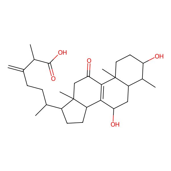 2D Structure of Camphoratin B