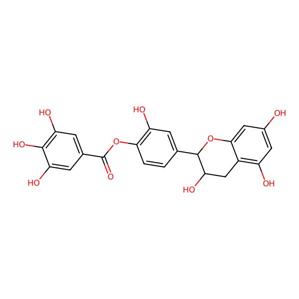 2D Structure of Catechin 4'-O-gallate