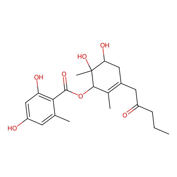2D Structure of (1'S,5'S,6'S)-5',6'-dihydroxy-2',6'-dimethyl-3'-(2''-oxopentyl)cyclohex-2'-en-1'-yl 2,4-dihydroxy-6-methylbenzoate