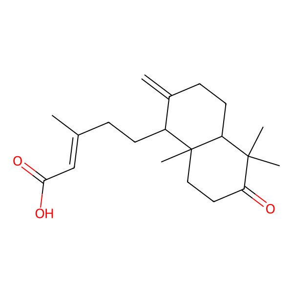 2D Structure of 5-[(1S,4aR,8aR)-5,5,8a-trimethyl-2-methylidene-6-oxo-1,3,4,4a,7,8-hexahydronaphthalen-1-yl]-3-methylpent-2-enoic acid