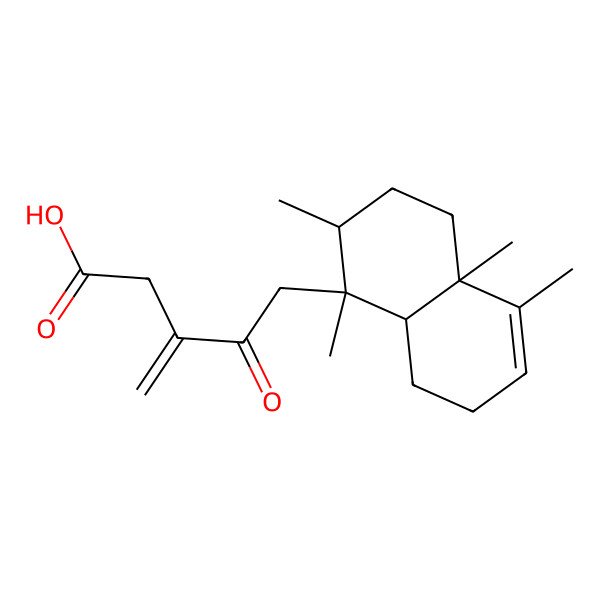 2D Structure of 5-[(1S,2R,4aR,8aR)-1,2,4a,5-tetramethyl-2,3,4,7,8,8a-hexahydronaphthalen-1-yl]-3-methylidene-4-oxopentanoic acid