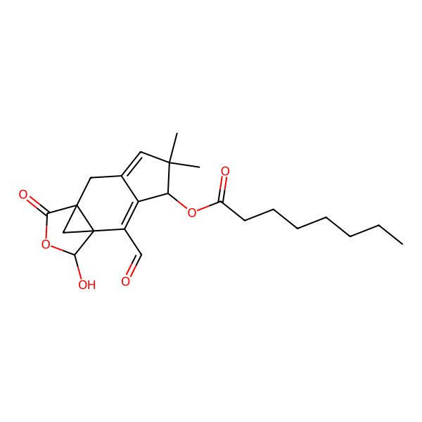 2D Structure of (2-Formyl-12-hydroxy-5,5-dimethyl-10-oxo-11-oxatetracyclo[7.3.1.01,9.03,7]trideca-2,6-dien-4-yl) octanoate