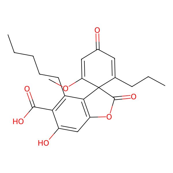 2D Structure of (3R)-6-hydroxy-1'-methoxy-2,3'-dioxo-4-pentyl-5'-propylspiro[1-benzofuran-3,6'-cyclohexa-1,4-diene]-5-carboxylic acid