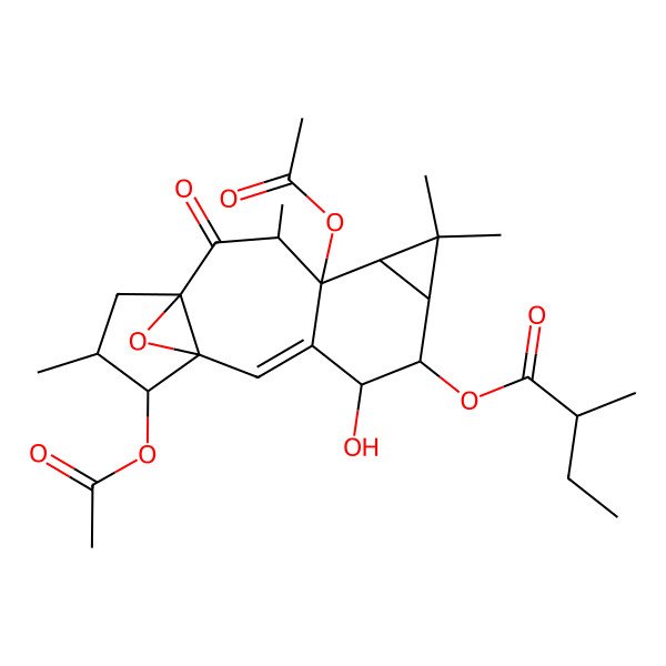 2D Structure of [(1S,4R,5R,9S,10S,12R,15S)-9,15-diacetyloxy-4-hydroxy-7,7,10,14-tetramethyl-11-oxo-16-oxapentacyclo[10.3.1.01,12.03,9.06,8]hexadec-2-en-5-yl] 2-methylbutanoate