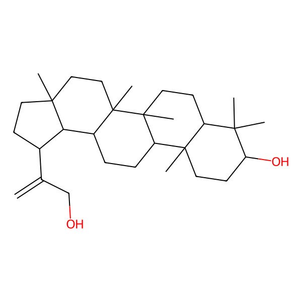 2D Structure of 1-(3-Hydroxyprop-1-en-2-yl)-3a,5a,5b,8,8,11a-hexamethyl-1,2,3,4,5,6,7,7a,9,10,11,11b,12,13,13a,13b-hexadecahydrocyclopenta[a]chrysen-9-ol