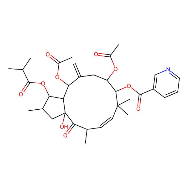 2D Structure of [(1S,2S,3aR,5S,6E,9S,10R,13R,13aR)-10,13-diacetyloxy-3a-hydroxy-2,5,8,8-tetramethyl-12-methylidene-1-(2-methylpropanoyloxy)-4-oxo-2,3,5,9,10,11,13,13a-octahydro-1H-cyclopenta[12]annulen-9-yl] pyridine-3-carboxylate