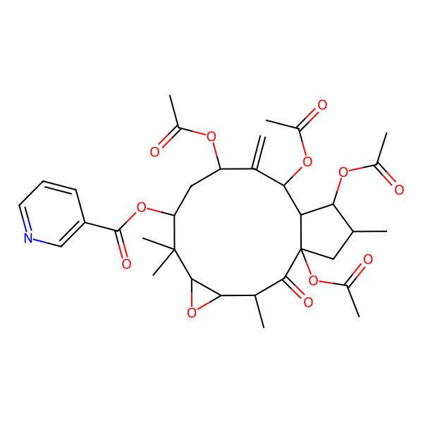 2D Structure of [(1R,3R,4R,6R,8R,10R,12R,13R,14S,15S)-1,10,12,14-tetraacetyloxy-3,7,7,15-tetramethyl-11-methylidene-2-oxo-5-oxatricyclo[11.3.0.04,6]hexadecan-8-yl] pyridine-3-carboxylate