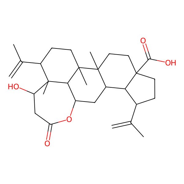 2D Structure of (1R,2R,5S,8R,9S,10R,12R,16R,17S,18S,21S)-16-hydroxy-1,2,17-trimethyl-14-oxo-8,18-bis(prop-1-en-2-yl)-13-oxapentacyclo[10.8.1.02,10.05,9.017,21]henicosane-5-carboxylic acid