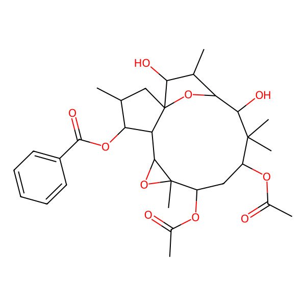 2D Structure of [(1R,3S,4S,5R,6R,8R,9R,11R,13R,14R,15S,16S)-9,11-diacetyloxy-13,16-dihydroxy-3,8,12,12,15-pentamethyl-7,17-dioxatetracyclo[12.2.1.01,5.06,8]heptadecan-4-yl] benzoate
