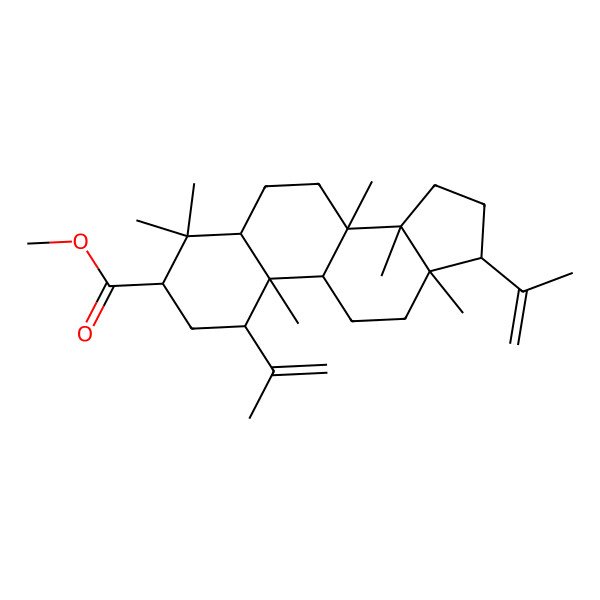 2D Structure of methyl (1R,3S,5S,8R,9S,10S,13S,14S,17S)-4,4,8,10,13,14-hexamethyl-1,17-bis(prop-1-en-2-yl)-1,2,3,5,6,7,9,11,12,15,16,17-dodecahydrocyclopenta[a]phenanthrene-3-carboxylate
