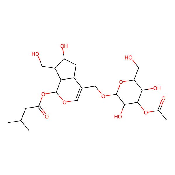 2D Structure of [(1S,4aS,6S,7S,7aS)-4-[[(2R,3R,4S,5R,6R)-4-acetyloxy-3,5-dihydroxy-6-(hydroxymethyl)oxan-2-yl]oxymethyl]-6-hydroxy-7-(hydroxymethyl)-1,4a,5,6,7,7a-hexahydrocyclopenta[c]pyran-1-yl] 3-methylbutanoate
