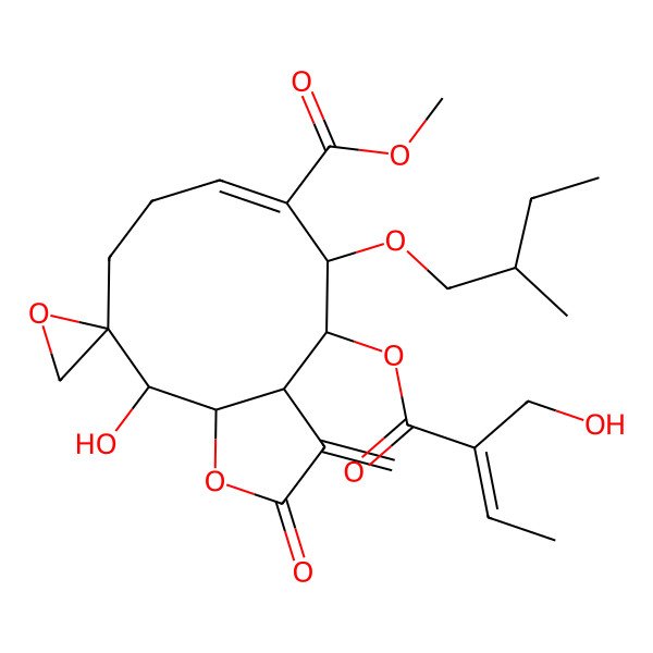 2D Structure of methyl 11-hydroxy-4-[2-(hydroxymethyl)but-2-enoyloxy]-5-(2-methylbutoxy)-3-methylidene-2-oxospiro[4,5,8,9,11,11a-hexahydro-3aH-cyclodeca[b]furan-10,2'-oxirane]-6-carboxylate