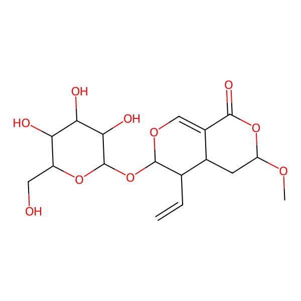 2D Structure of (3S,4aS,5S,6S)-5-ethenyl-3-methoxy-6-[(2S,3R,4S,5S,6R)-3,4,5-trihydroxy-6-(hydroxymethyl)oxan-2-yl]oxy-4,4a,5,6-tetrahydro-3H-pyrano[3,4-c]pyran-1-one