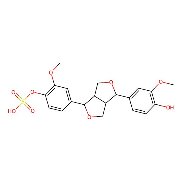 2D Structure of [4-[(3S,3aR,6S,6aR)-3-(4-hydroxy-3-methoxyphenyl)-1,3,3a,4,6,6a-hexahydrofuro[3,4-c]furan-6-yl]-2-methoxyphenyl] hydrogen sulfate