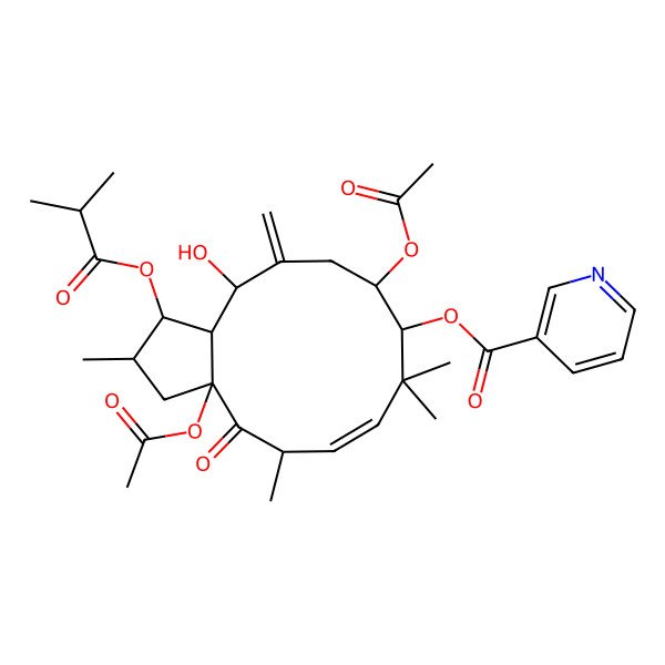 2D Structure of [3a,10-diacetyloxy-13-hydroxy-2,5,8,8-tetramethyl-12-methylidene-1-(2-methylpropanoyloxy)-4-oxo-2,3,5,9,10,11,13,13a-octahydro-1H-cyclopenta[12]annulen-9-yl] pyridine-3-carboxylate