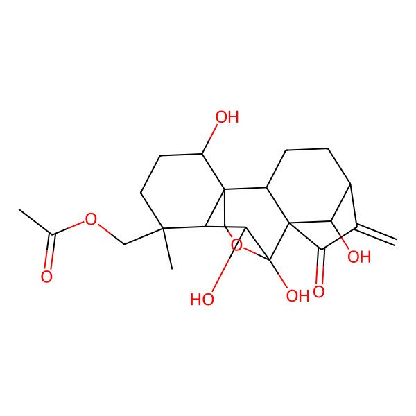 2D Structure of [(1S,2S,5S,8R,9S,11R,12R,18R)-9,10,15,18-tetrahydroxy-12-methyl-6-methylidene-7-oxo-17-oxapentacyclo[7.6.2.15,8.01,11.02,8]octadecan-12-yl]methyl acetate