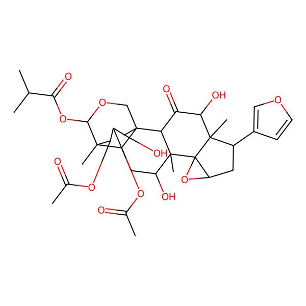 2D Structure of [(1S,2R,4R,5R,6S,8R,11S,12R,14R,15R,16S,19R,20R,21S)-20,21-diacetyloxy-6-(furan-3-yl)-4,12,19-trihydroxy-5,11,15-trimethyl-3-oxo-9,17-dioxahexacyclo[13.3.3.01,14.02,11.05,10.08,10]henicosan-16-yl] 2-methylpropanoate