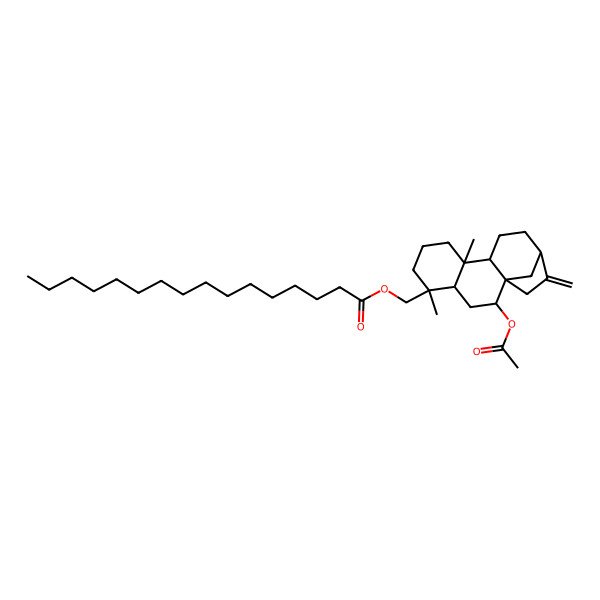 2D Structure of (2-Acetyloxy-5,9-dimethyl-14-methylidene-5-tetracyclo[11.2.1.01,10.04,9]hexadecanyl)methyl hexadecanoate