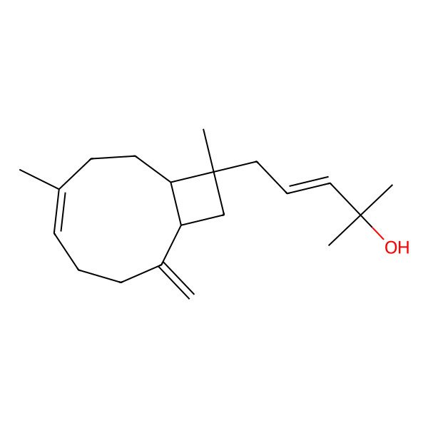 2D Structure of (E)-5-[(1R,5E,9S,10S)-6,10-dimethyl-2-methylidene-10-bicyclo[7.2.0]undec-5-enyl]-2-methylpent-3-en-2-ol