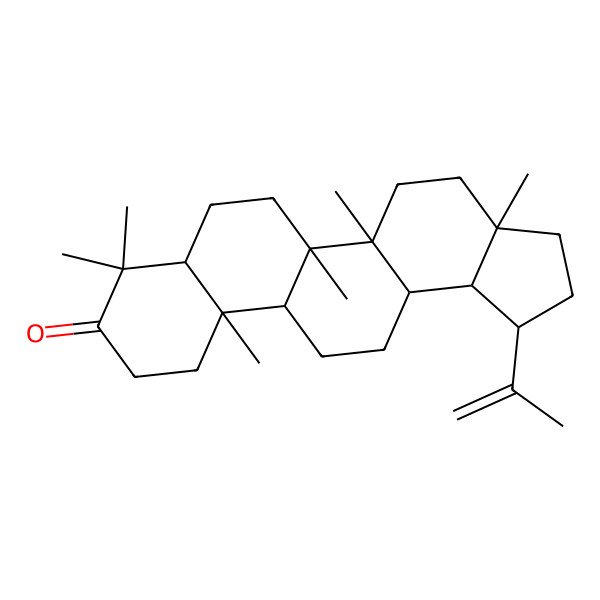 2D Structure of (1R,3aR,5aR,5bR,7aR,11aR,11bR,13aR,13bS)-3a,5a,5b,8,8,11a-hexamethyl-1-prop-1-en-2-yl-2,3,4,5,6,7,7a,10,11,11b,12,13,13a,13b-tetradecahydro-1H-cyclopenta[a]chrysen-9-one