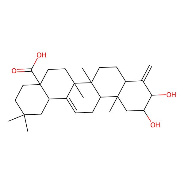 2D Structure of 10,11-Dihydroxy-2,2,6a,6b,12a-pentamethyl-9-methylidene-1,3,4,5,6,6a,7,8,8a,10,11,12,13,14b-tetradecahydropicene-4a-carboxylic acid