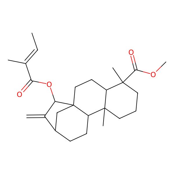 2D Structure of methyl (1R,4S,5S,9S,10S,13R,15S)-5,9-dimethyl-15-[(Z)-2-methylbut-2-enoyl]oxy-14-methylidenetetracyclo[11.2.1.01,10.04,9]hexadecane-5-carboxylate