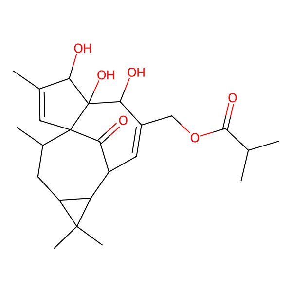 2D Structure of (4,5,6-Trihydroxy-3,11,11,14-tetramethyl-15-oxo-7-tetracyclo[7.5.1.01,5.010,12]pentadeca-2,7-dienyl)methyl 2-methylpropanoate