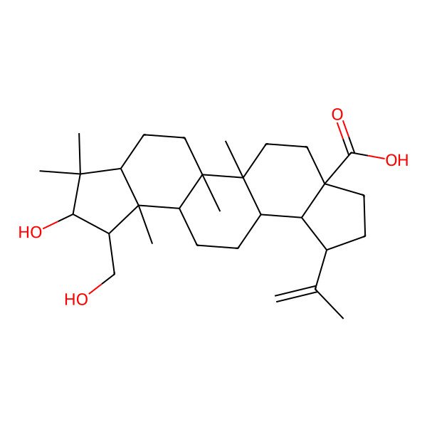 2D Structure of Ceanothanolic acid 2D Structure of Ceanothanolic acid