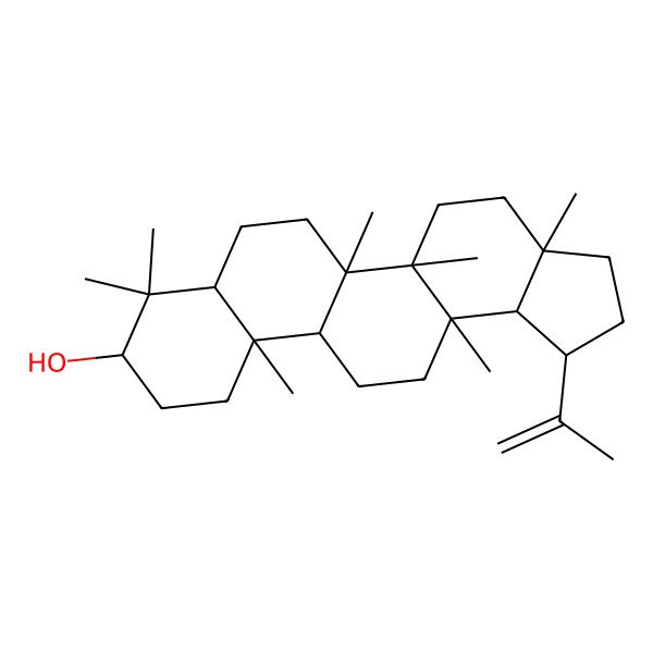 2D Structure of (1R,3aR,5aS,5bR,9S,11aR,13aR)-3a,5a,5b,8,8,11a,13a-heptamethyl-1-prop-1-en-2-yl-2,3,4,5,6,7,7a,9,10,11,11b,12,13,13b-tetradecahydro-1H-cyclopenta[a]chrysen-9-ol