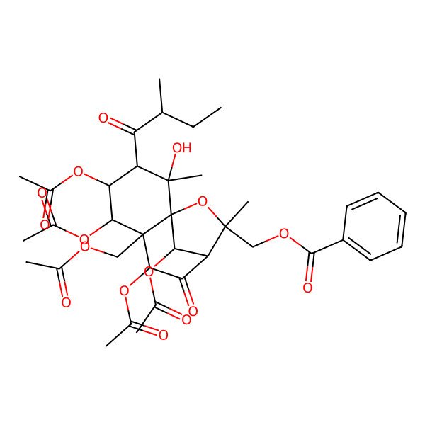 2D Structure of [(1S,2S,3S,4S,5R,6S,7S,9R,10R,12R)-4,5,7,12-tetraacetyloxy-6-(acetyloxymethyl)-2-hydroxy-2,10-dimethyl-3-[(2R)-2-methylbutanoyl]-8-oxo-11-oxatricyclo[7.2.1.01,6]dodecan-10-yl]methyl benzoate