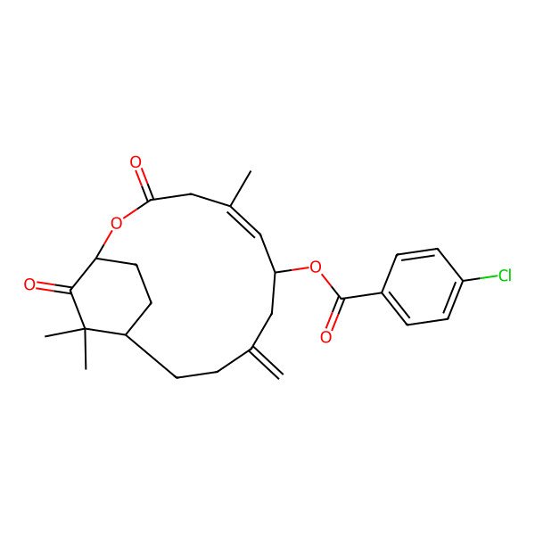 2D Structure of [(1S,5E,7S,12R)-5,13,13-trimethyl-9-methylidene-3,14-dioxo-2-oxabicyclo[10.2.2]hexadec-5-en-7-yl] 4-chlorobenzoate