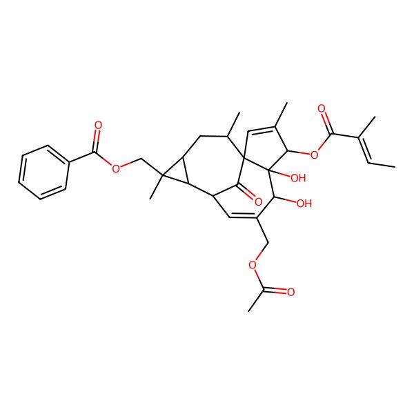 2D Structure of [(1S,4S,5S,6R,9S,10R,11R,12R,14R)-7-(acetyloxymethyl)-5,6-dihydroxy-3,11,14-trimethyl-4-[(Z)-2-methylbut-2-enoyl]oxy-15-oxo-11-tetracyclo[7.5.1.01,5.010,12]pentadeca-2,7-dienyl]methyl benzoate