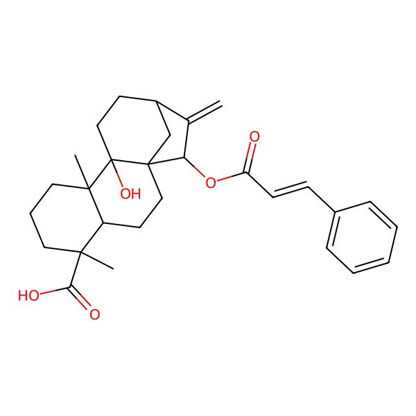 2D Structure of (1S,4S,5R,9R,10R,13R,15S)-10-hydroxy-5,9-dimethyl-14-methylidene-15-[(E)-3-phenylprop-2-enoyl]oxytetracyclo[11.2.1.01,10.04,9]hexadecane-5-carboxylic acid