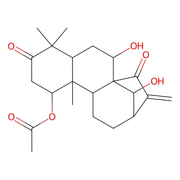 2D Structure of [(1R,2R,4S,8S,9R,10S,13S,16R)-2,16-dihydroxy-5,5,9-trimethyl-14-methylidene-6,15-dioxo-8-tetracyclo[11.2.1.01,10.04,9]hexadecanyl] acetate