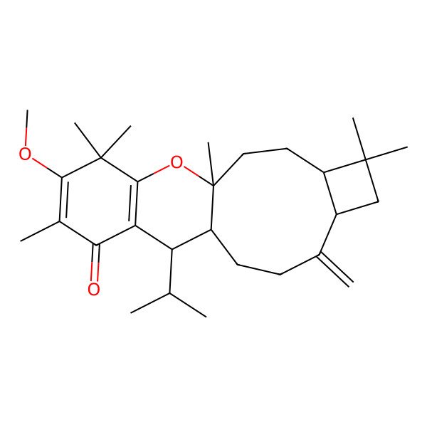 2D Structure of (1S,4R,12S)-16-methoxy-1,5,5,15,17,17-hexamethyl-8-methylidene-12-propan-2-yl-19-oxatetracyclo[9.8.0.04,7.013,18]nonadeca-13(18),15-dien-14-one